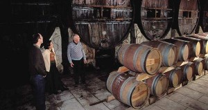 Cap d'Agde - Terroir - Le vin