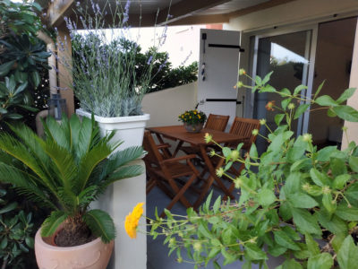 Les Agathes - Cap d'Agde • Le Studio 2 - Le patio couvert Les Agathes - Cap d'Agde • Le Studio 2 - Le patio couvert
